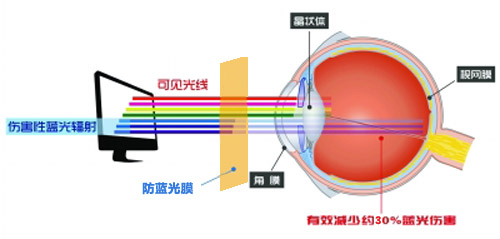 蜜桃811TV直播APP下载最新科技成果 蜜桃网在线视频成護眼利器